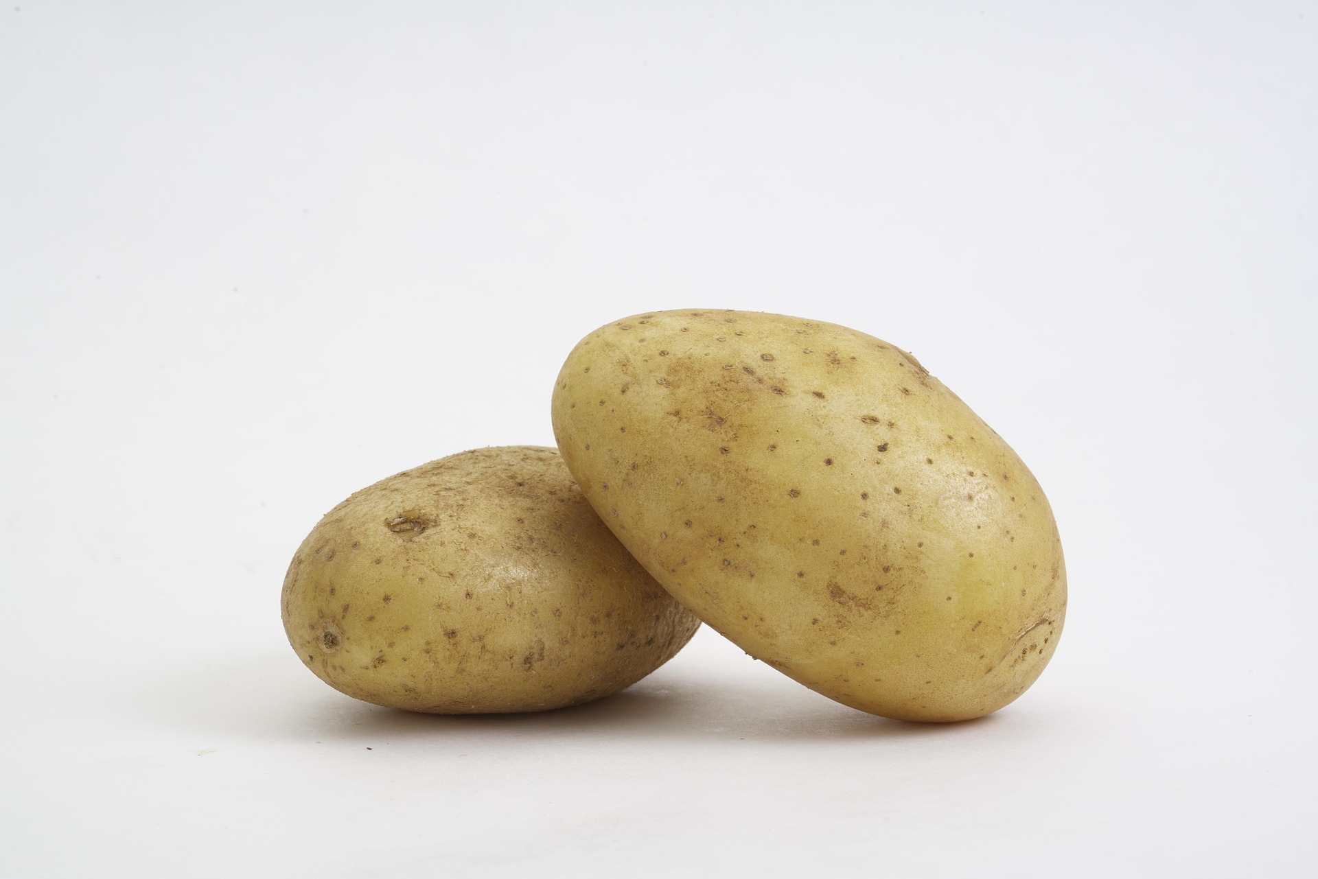 Potato